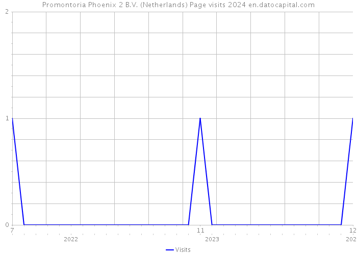 Promontoria Phoenix 2 B.V. (Netherlands) Page visits 2024 