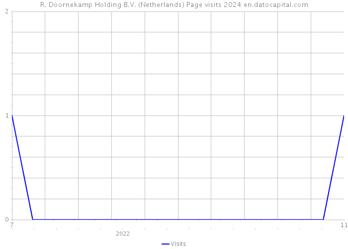R. Doornekamp Holding B.V. (Netherlands) Page visits 2024 