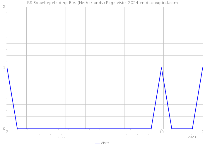 RS Bouwbegeleiding B.V. (Netherlands) Page visits 2024 