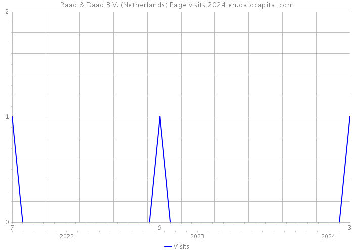 Raad & Daad B.V. (Netherlands) Page visits 2024 
