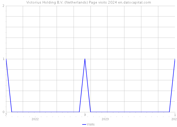 Victorius Holding B.V. (Netherlands) Page visits 2024 