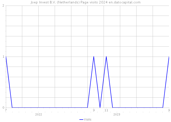 Joep Invest B.V. (Netherlands) Page visits 2024 