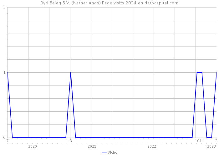 Ryri Beleg B.V. (Netherlands) Page visits 2024 