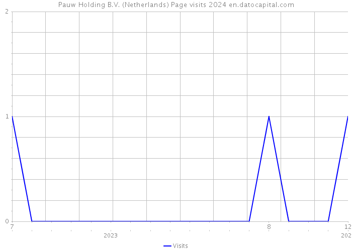 Pauw Holding B.V. (Netherlands) Page visits 2024 