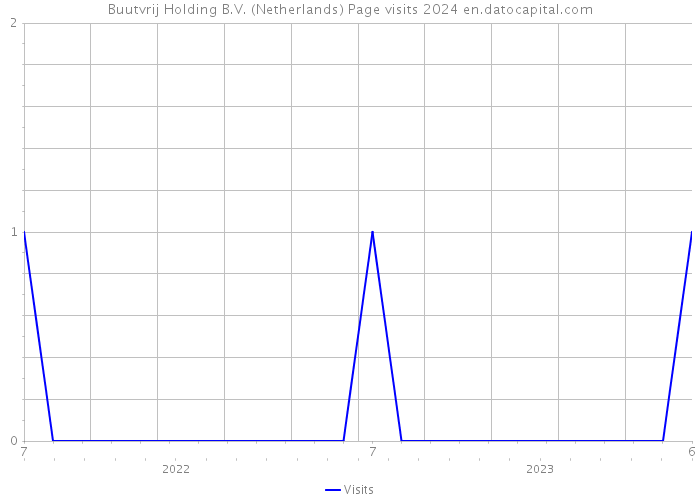 Buutvrij Holding B.V. (Netherlands) Page visits 2024 