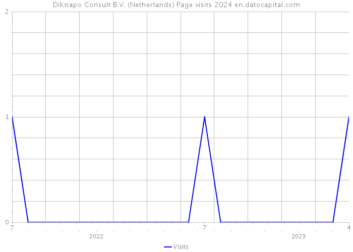 DiKnapo Consult B.V. (Netherlands) Page visits 2024 
