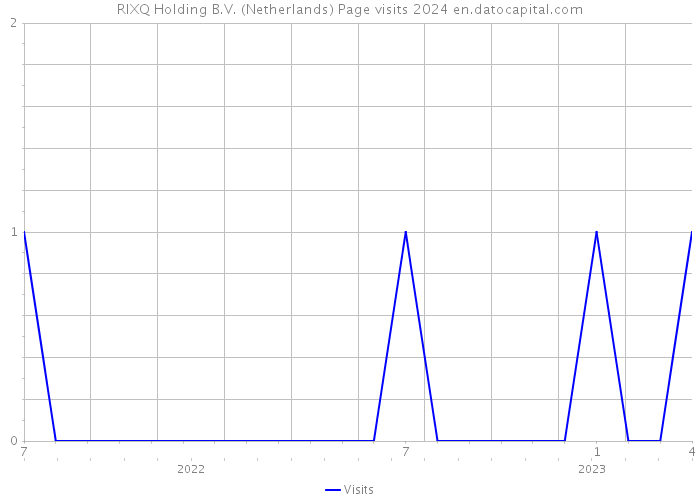 RIXQ Holding B.V. (Netherlands) Page visits 2024 