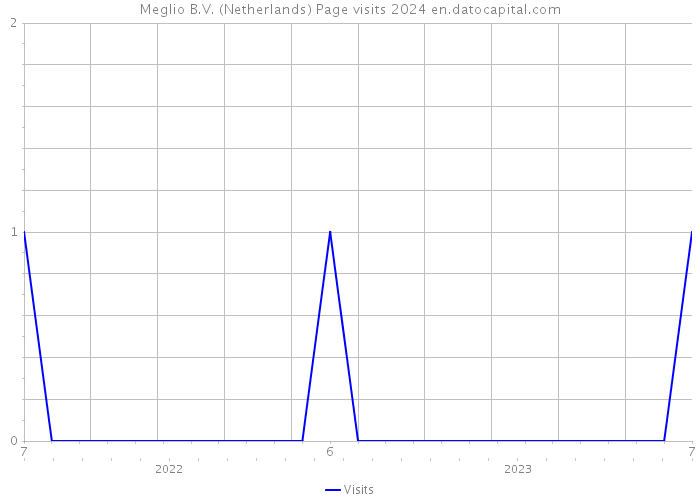 Meglio B.V. (Netherlands) Page visits 2024 