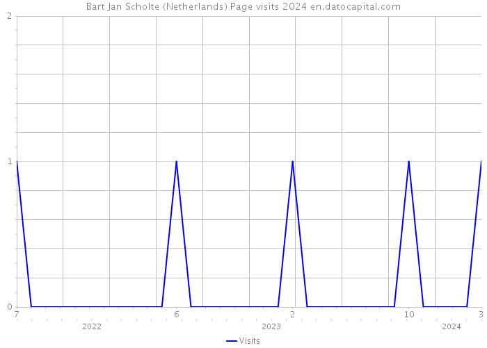 Bart Jan Scholte (Netherlands) Page visits 2024 