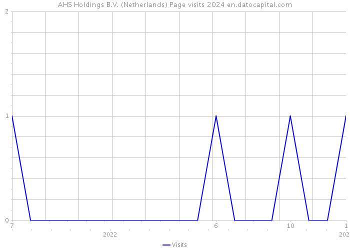 AHS Holdings B.V. (Netherlands) Page visits 2024 