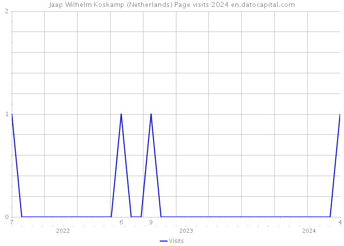 Jaap Wilhelm Koskamp (Netherlands) Page visits 2024 