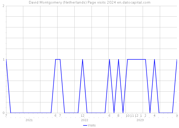 David Montgomery (Netherlands) Page visits 2024 