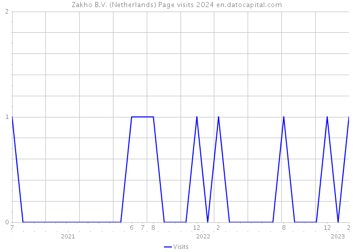 Zakho B.V. (Netherlands) Page visits 2024 