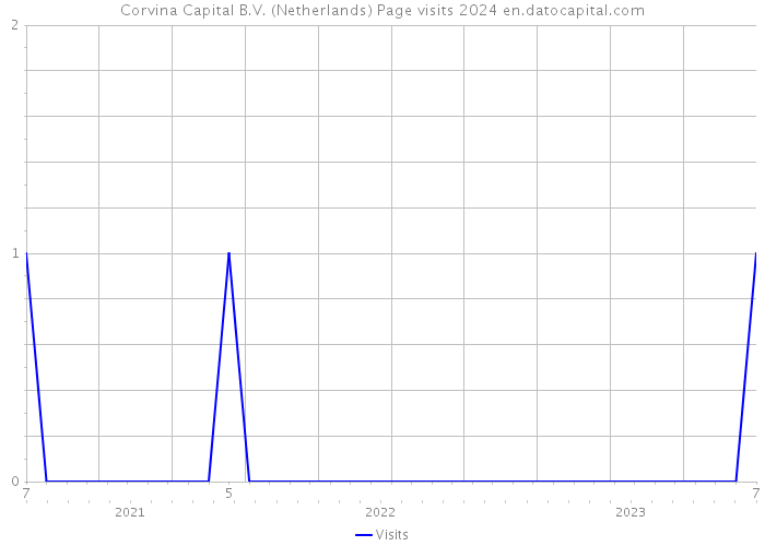 Corvina Capital B.V. (Netherlands) Page visits 2024 