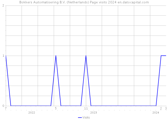 Bokkers Automatisering B.V. (Netherlands) Page visits 2024 