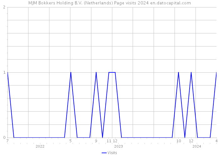 MJM Bokkers Holding B.V. (Netherlands) Page visits 2024 