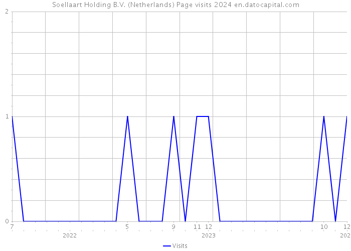 Soellaart Holding B.V. (Netherlands) Page visits 2024 