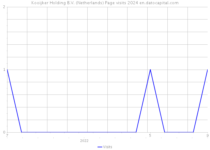 Kooijker Holding B.V. (Netherlands) Page visits 2024 