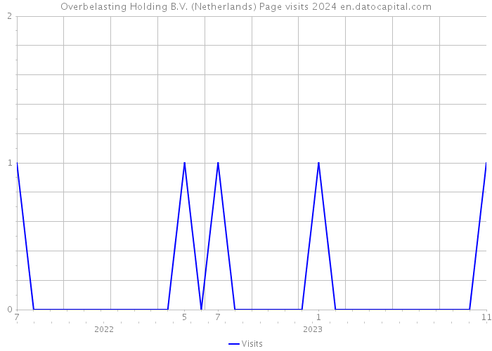 Overbelasting Holding B.V. (Netherlands) Page visits 2024 