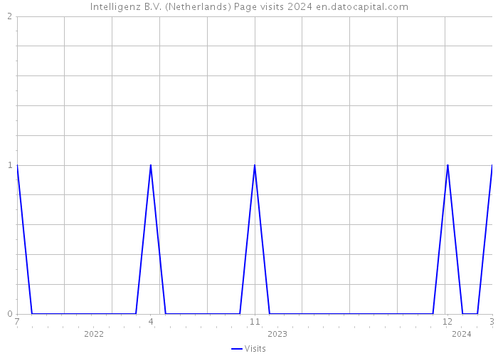 Intelligenz B.V. (Netherlands) Page visits 2024 