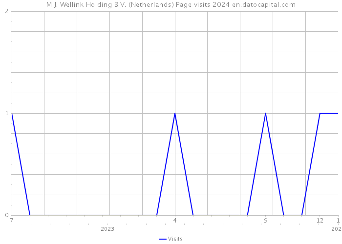 M.J. Wellink Holding B.V. (Netherlands) Page visits 2024 