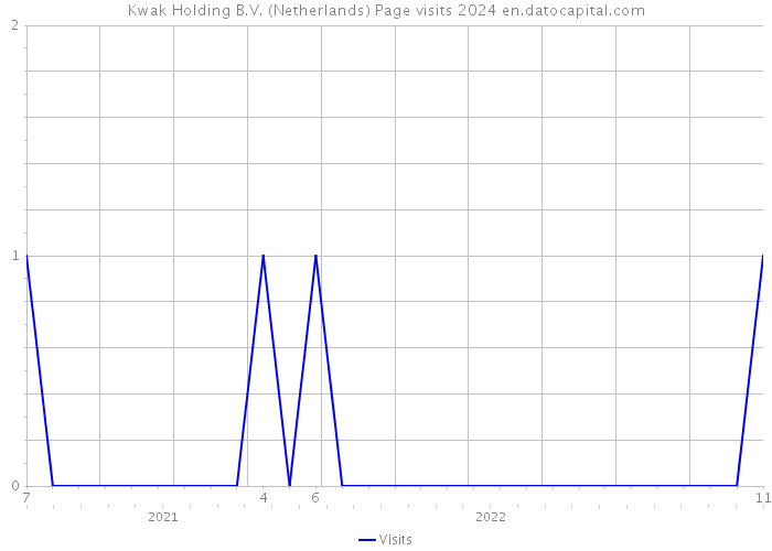 Kwak Holding B.V. (Netherlands) Page visits 2024 