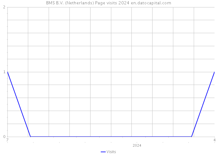 BMS B.V. (Netherlands) Page visits 2024 