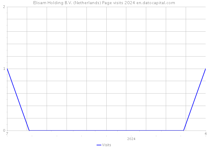 Elisam Holding B.V. (Netherlands) Page visits 2024 