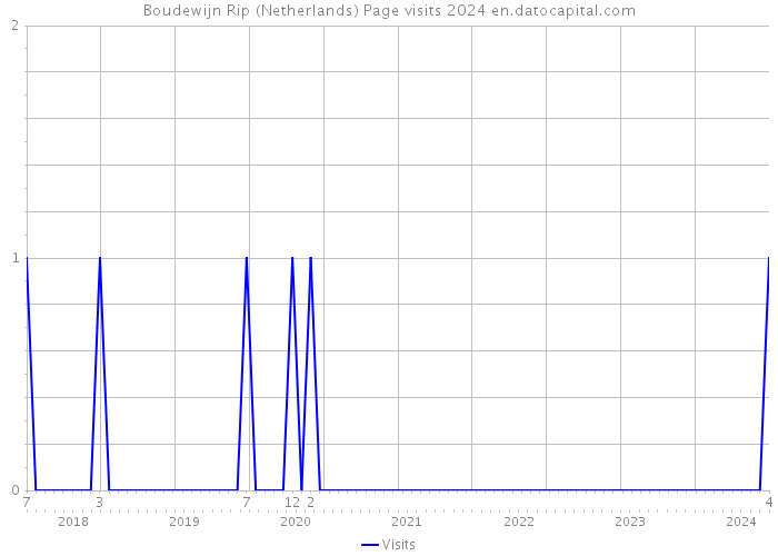 Boudewijn Rip (Netherlands) Page visits 2024 