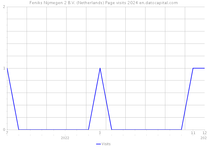 Feniks Nijmegen 2 B.V. (Netherlands) Page visits 2024 
