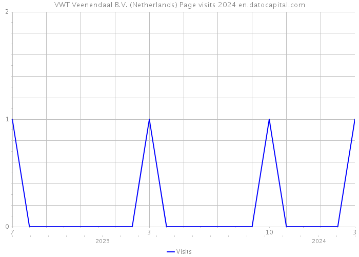 VWT Veenendaal B.V. (Netherlands) Page visits 2024 