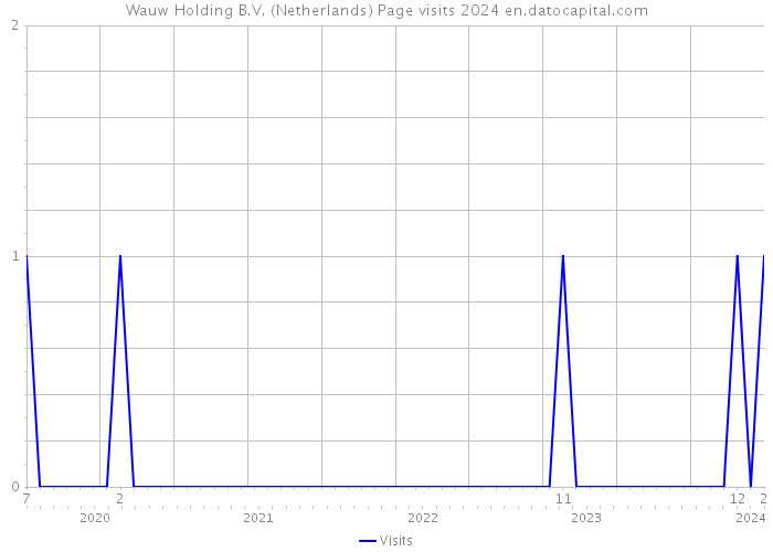 Wauw Holding B.V. (Netherlands) Page visits 2024 