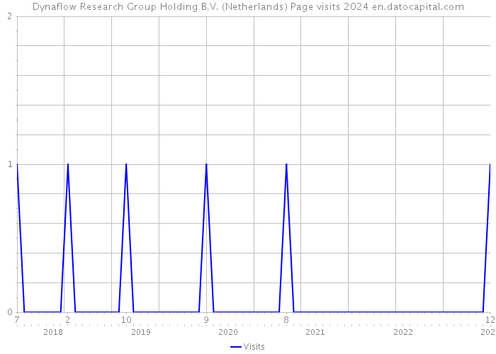 Dynaflow Research Group Holding B.V. (Netherlands) Page visits 2024 