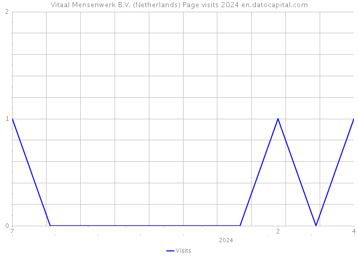 Vitaal Mensenwerk B.V. (Netherlands) Page visits 2024 