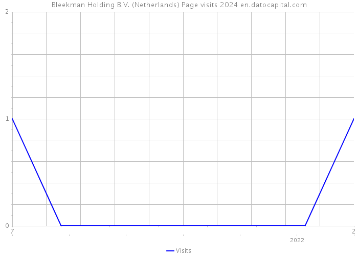 Bleekman Holding B.V. (Netherlands) Page visits 2024 
