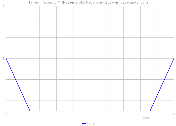 Tennon Group B.V. (Netherlands) Page visits 2024 