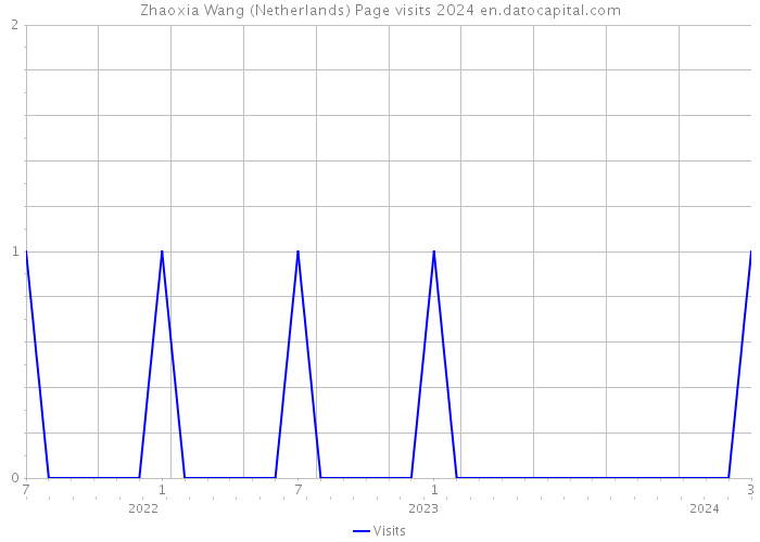 Zhaoxia Wang (Netherlands) Page visits 2024 