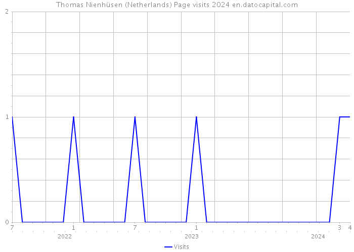 Thomas Nienhüsen (Netherlands) Page visits 2024 