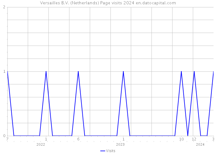 Versailles B.V. (Netherlands) Page visits 2024 