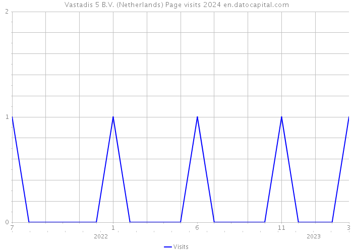 Vastadis 5 B.V. (Netherlands) Page visits 2024 