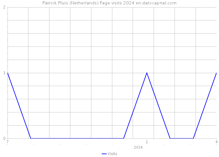 Patrick Pluis (Netherlands) Page visits 2024 