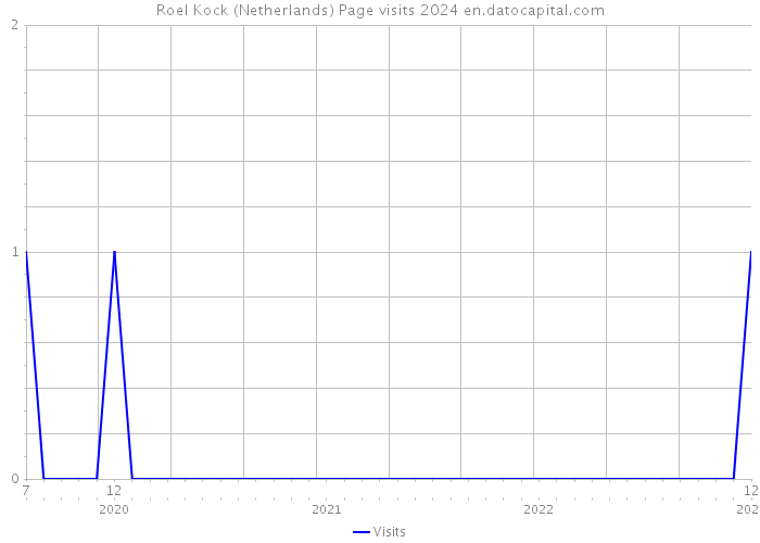 Roel Kock (Netherlands) Page visits 2024 