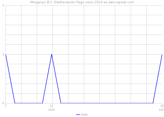 Melgarejo B.V. (Netherlands) Page visits 2024 