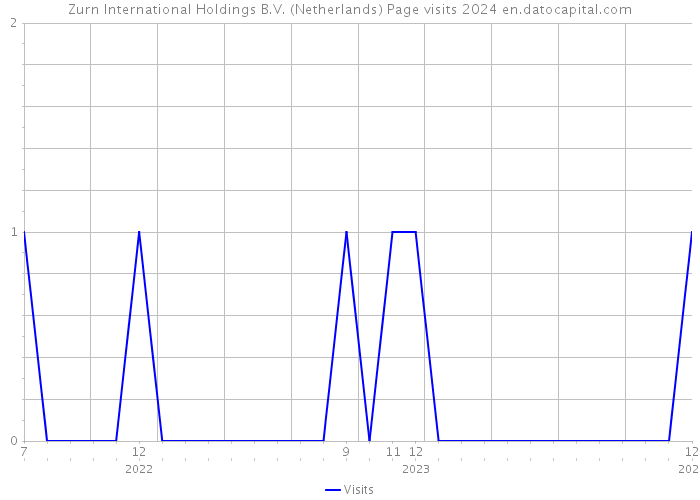 Zurn International Holdings B.V. (Netherlands) Page visits 2024 