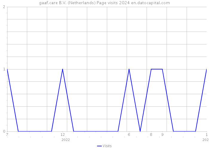 gaaf.care B.V. (Netherlands) Page visits 2024 