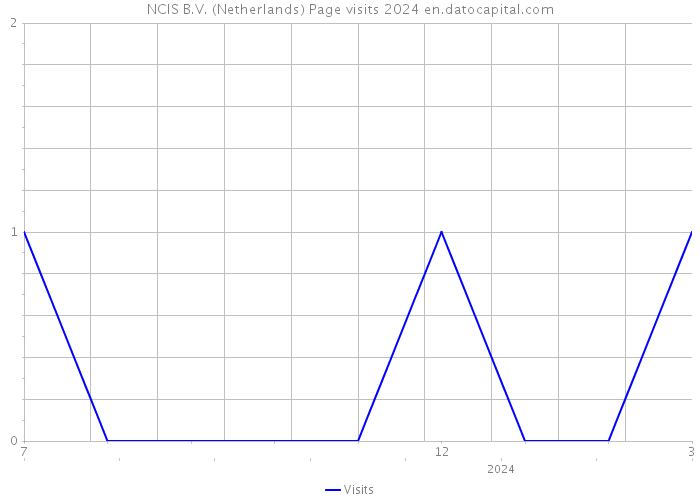 NCIS B.V. (Netherlands) Page visits 2024 