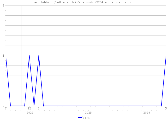 Leri Holding (Netherlands) Page visits 2024 