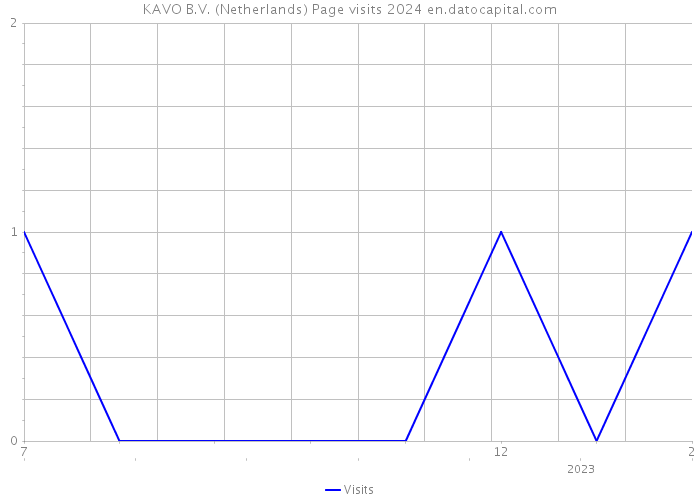 KAVO B.V. (Netherlands) Page visits 2024 