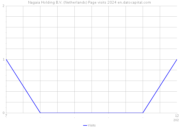 Nagaia Holding B.V. (Netherlands) Page visits 2024 