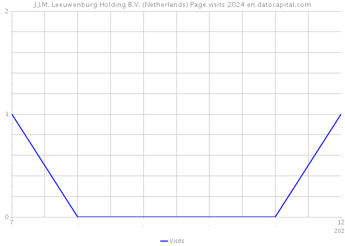 J.J.M. Leeuwenburg Holding B.V. (Netherlands) Page visits 2024 